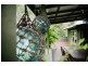 Lot 7 The Esplanade, South Stradbroke QLD 4216