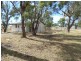 55 Charles Street, Triabunna TAS 7190