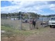 31 Tasman Highway, Triabunna TAS 7190