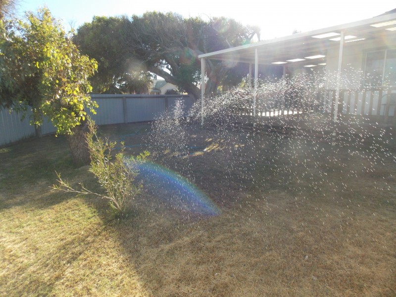 8 Whitfield, Beachlands WA 6530