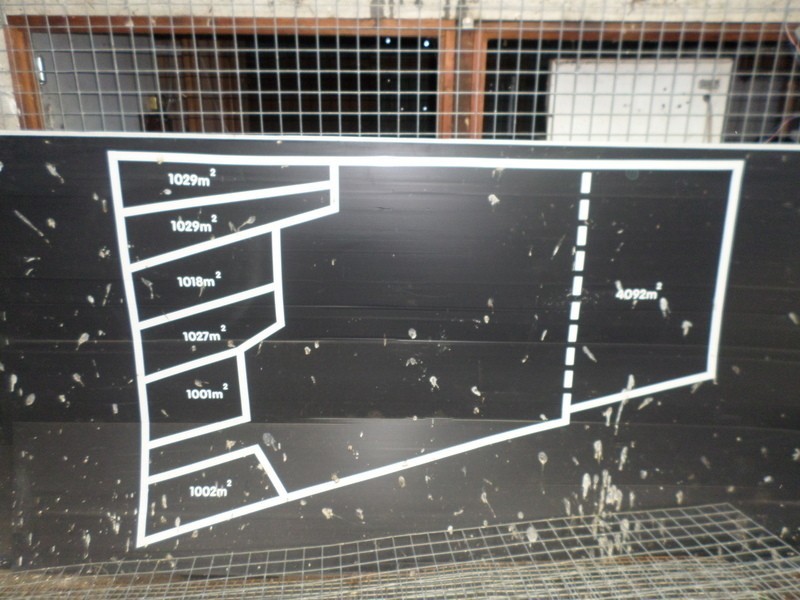 Lot Lot 6, 31 Tasman Highway, Triabunna TAS 7190