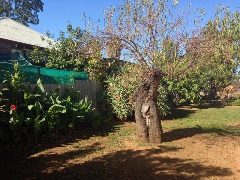 24 Pasture Street, Pingelly WA 6308