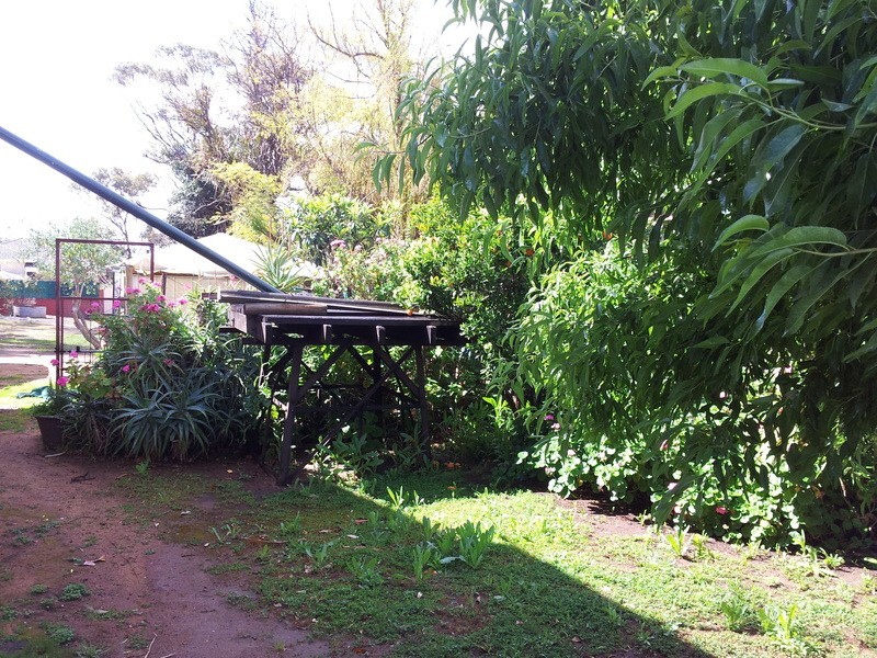 24 Pasture Street, Pingelly WA 6308