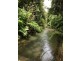 Lot 1 Whing Creek Road, Shell Pocket QLD 4855