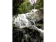 Lot 1 Whing Creek Road, Shell Pocket QLD 4855
