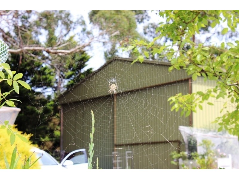 47 Nursery Rd, Macedon VIC 3440