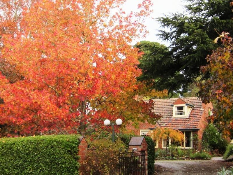 47 Nursery Rd, Macedon VIC 3440