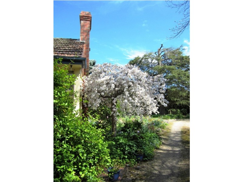 47 Nursery Rd, Macedon VIC 3440