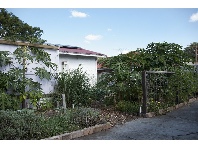 12 Goneril Way, Coolbellup WA 6163