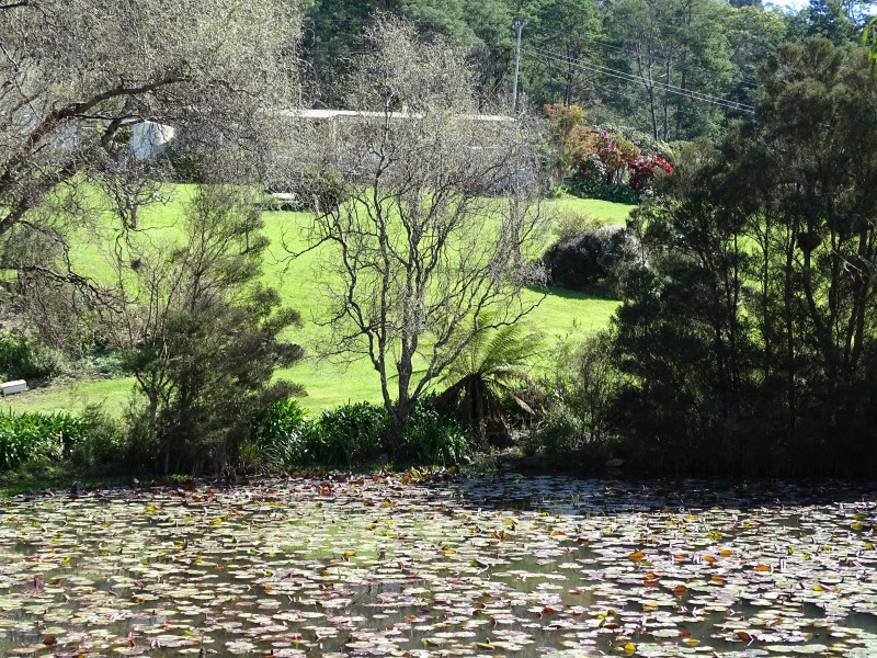95 Clayton Drive, Spreyton TAS 7310