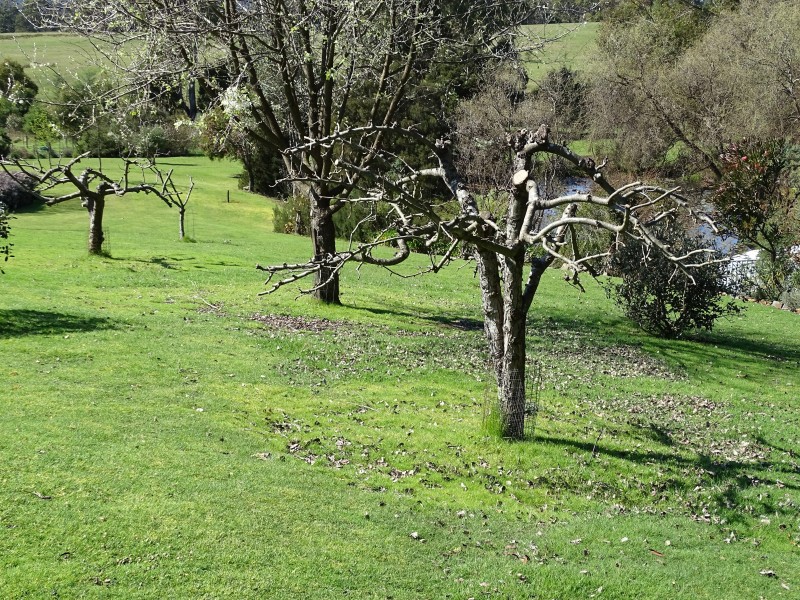 95 Clayton Drive, Spreyton TAS 7310