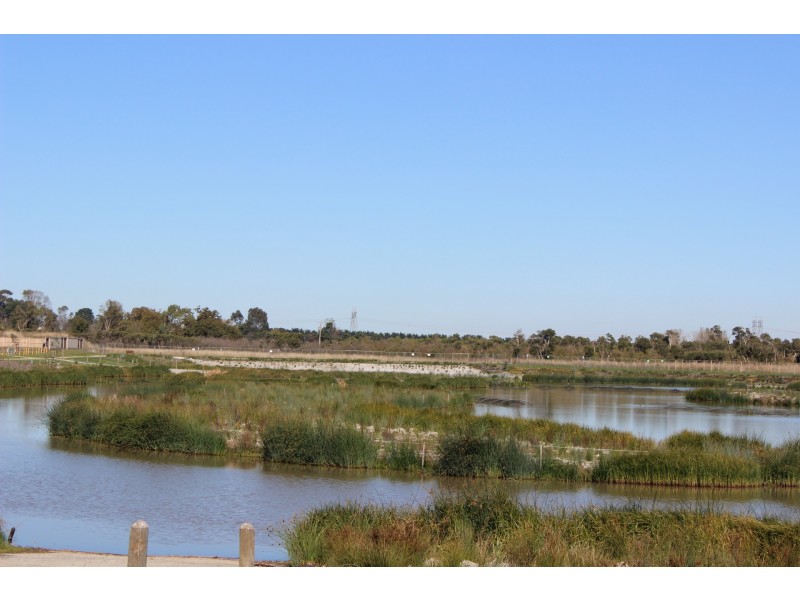 Lot 301/No 4 Waterbloom Avenue, Clyde North VIC 3978