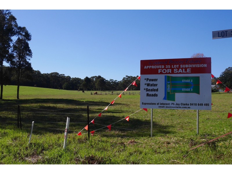 Lot 4, 34 Lot stafford Drive, Kalaru NSW 2550