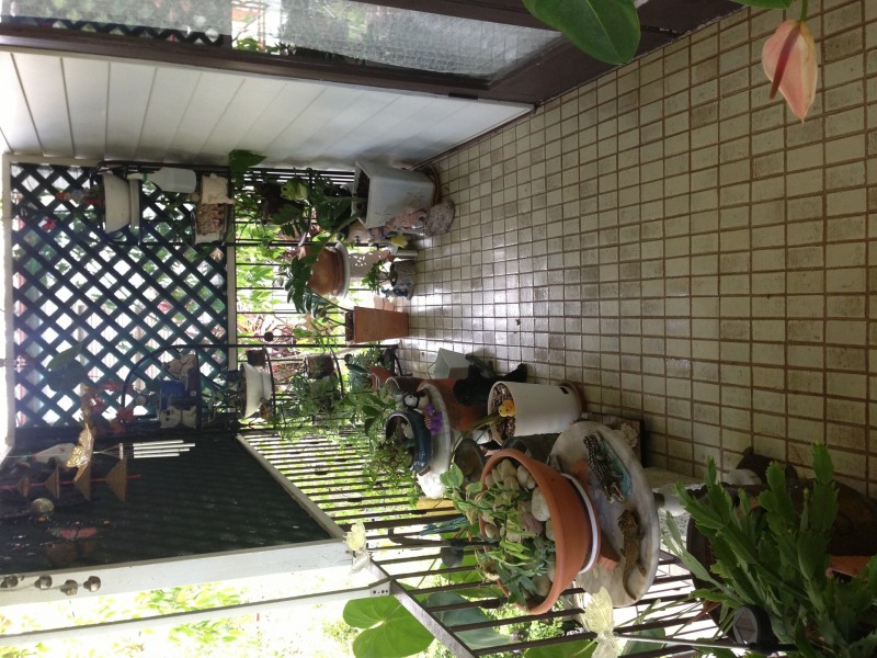 9 Roseglen Street, Greenslopes QLD 4120