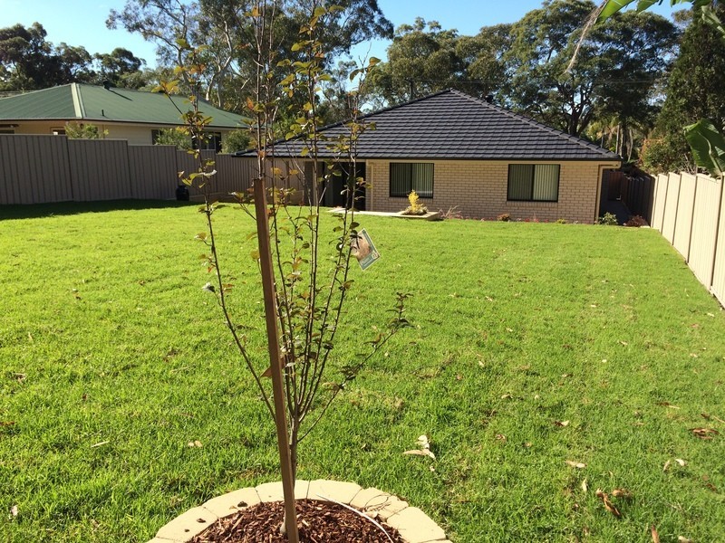 22 Watt Street, Windermere Park NSW 2264