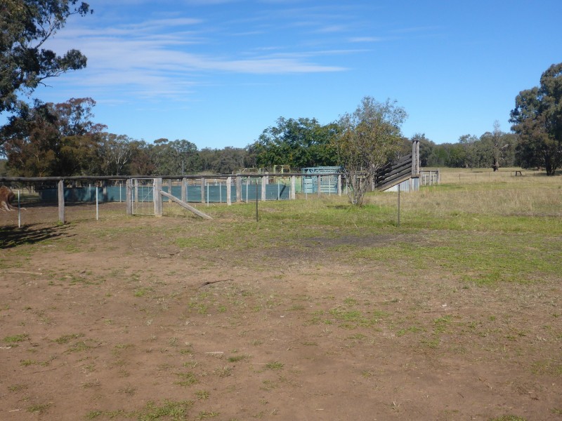 201 Goragilla Road, Purlewaugh NSW 2357