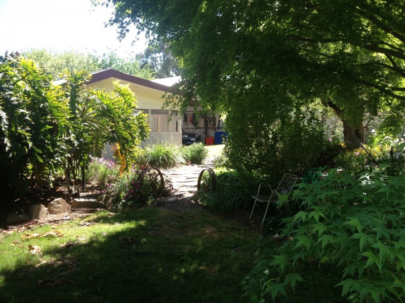 9775 Murray River Road, Pine Mountain VIC 3709