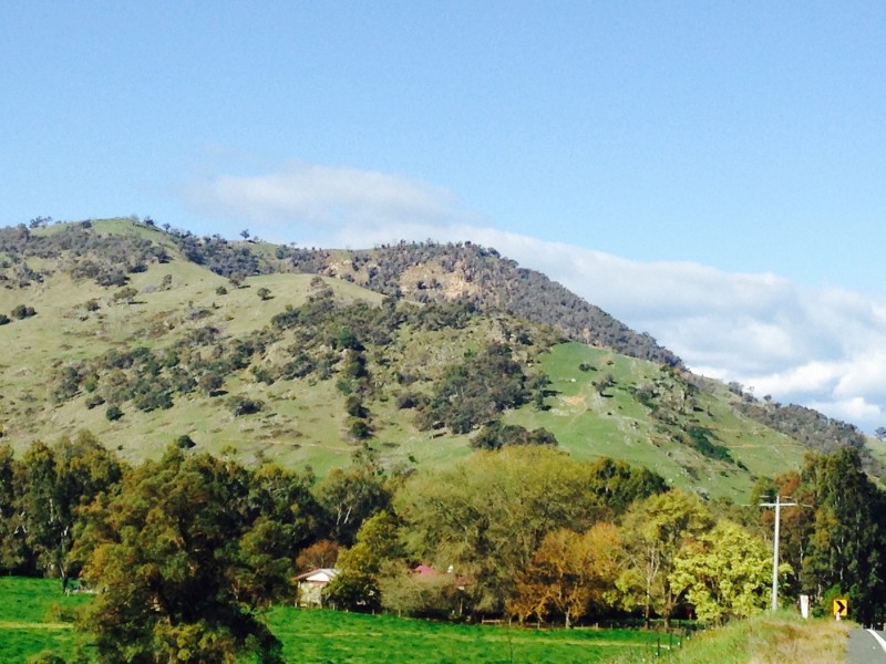 9775 Murray River Road, Pine Mountain VIC 3709