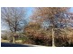 Lot 1 (Sect F, PT2) Yackandandah Wodonga Rd, Yackandandah VIC 3749