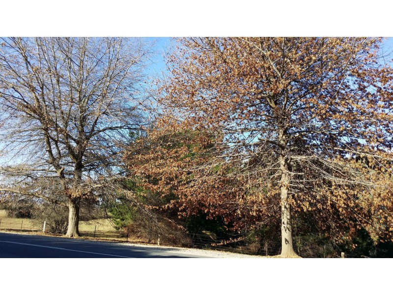 Lot 1 (Sect F, PT2) Yackandandah Wodonga Rd, Yackandandah VIC 3749