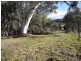 Lot 1 (Sect F, PT2) Yackandandah Wodonga Rd, Yackandandah VIC 3749