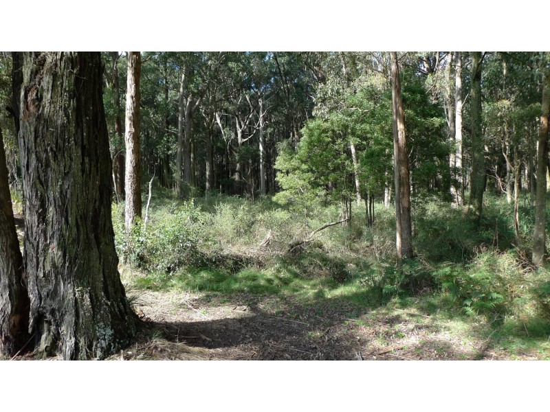 605 Daylesford-Trentham Road, Musk VIC 3461