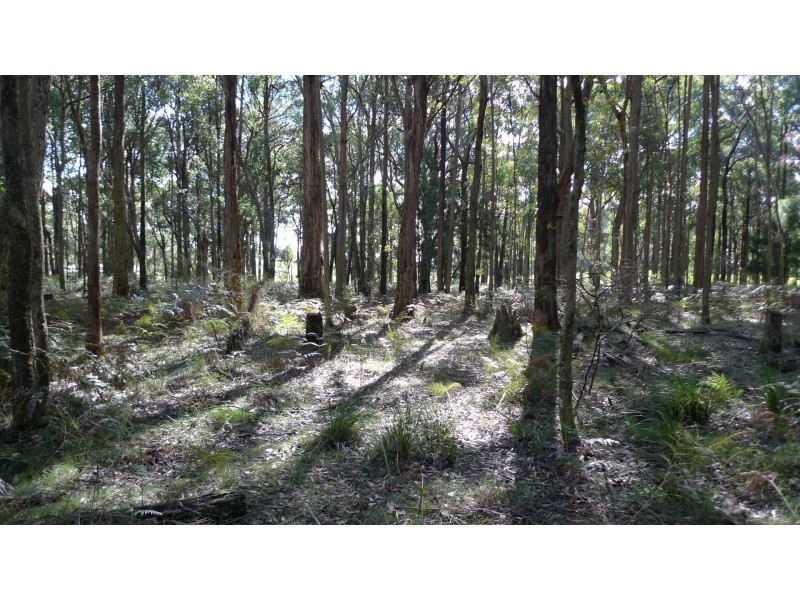 605 Daylesford-Trentham Road, Musk VIC 3461