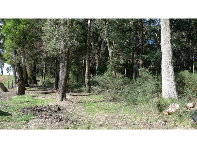 605 Daylesford-Trentham Road, Musk VIC 3461