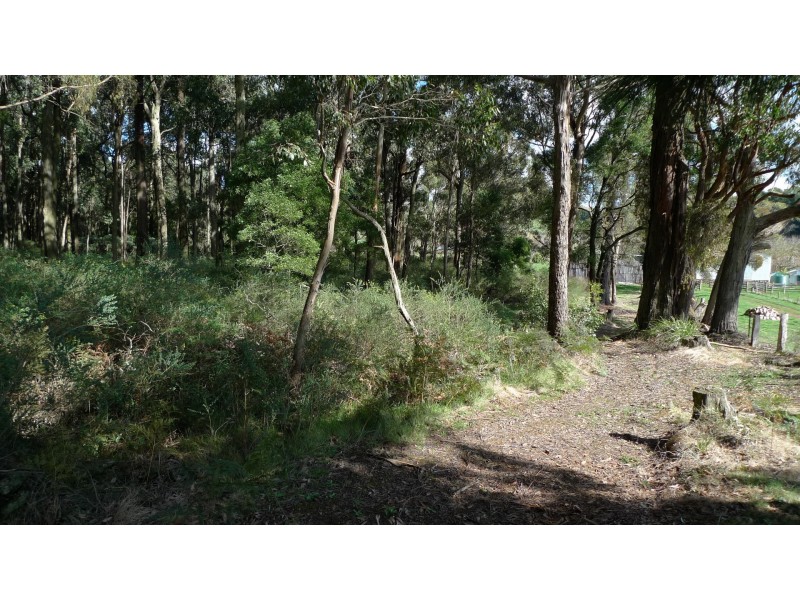 605 Daylesford-Trentham Road, Musk VIC 3461