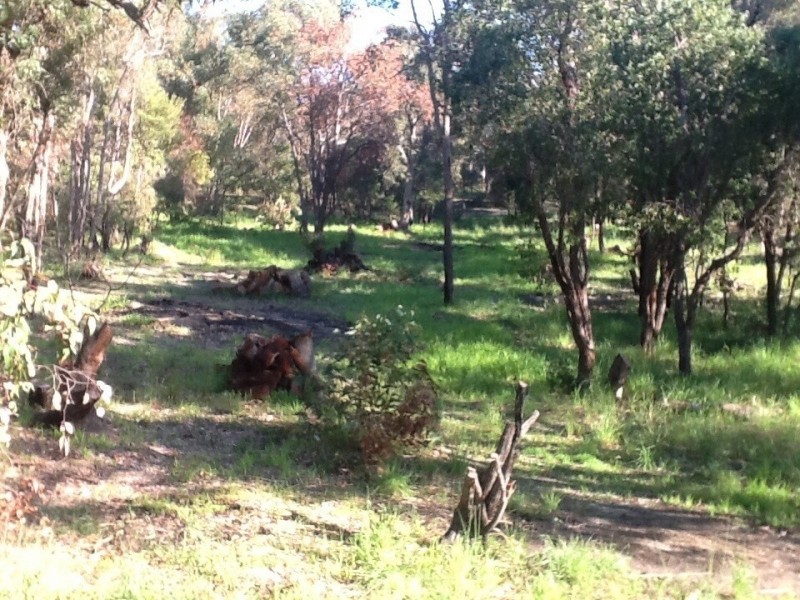 48 Hampstead street, Gelorup WA 6230