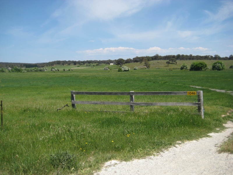 Quialigo NSW 2580