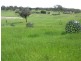 Quialigo NSW 2580