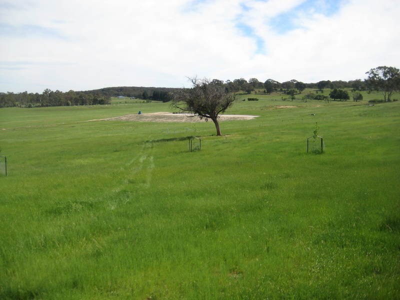 Quialigo NSW 2580