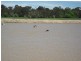 Quialigo NSW 2580