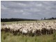 Quialigo NSW 2580
