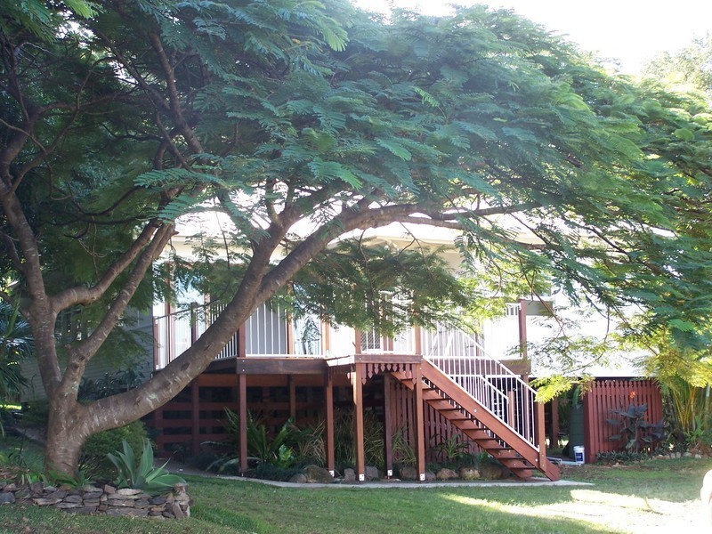 1009 Dulguigan Rd, Tumbulgum NSW 2490