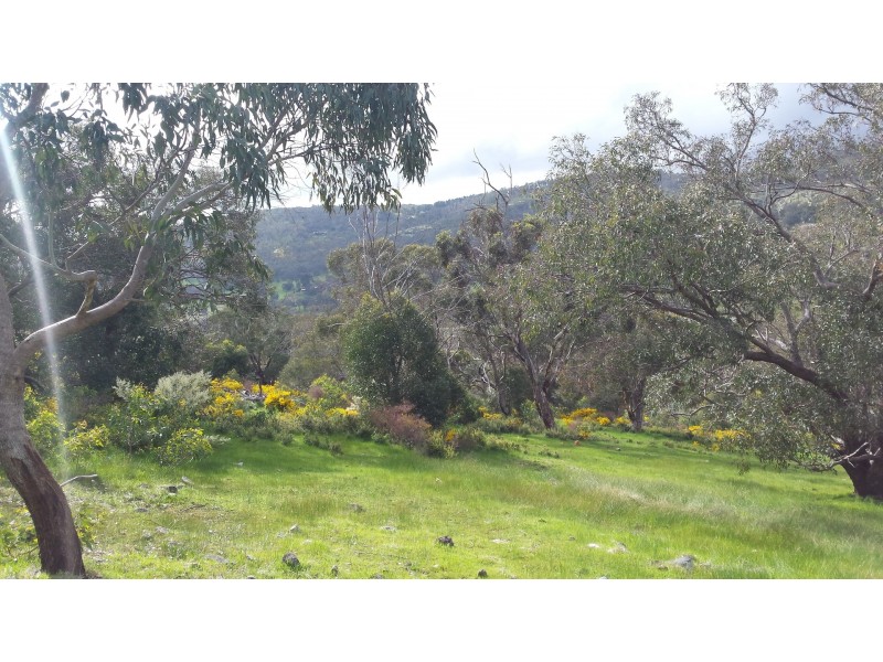 10 Rowley Street, Kelmscott WA 6111