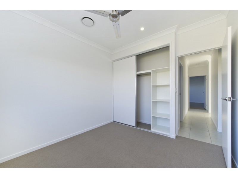 10 Sundew Street, Ningi QLD 4511