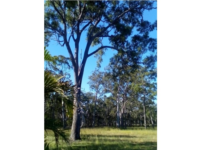 67 JANINE STREET, Booral QLD 4655