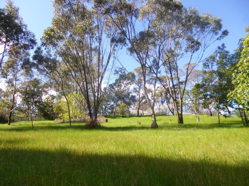 4 Lindsay Terrace, Belair SA 5052