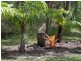 Doonan QLD 4562