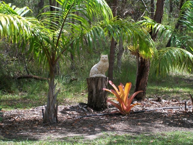 Doonan QLD 4562