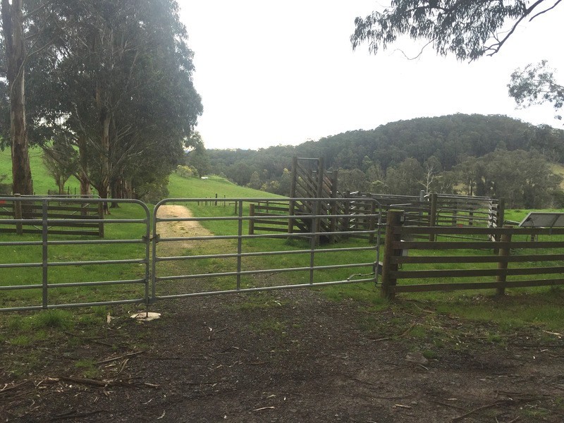 2637 Willow Grove Road, Hill End VIC 3825