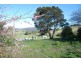 309 Lottah Road Goulds Country, Goulds Country TAS 7216