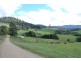 309 Lottah Road Goulds Country, Goulds Country TAS 7216