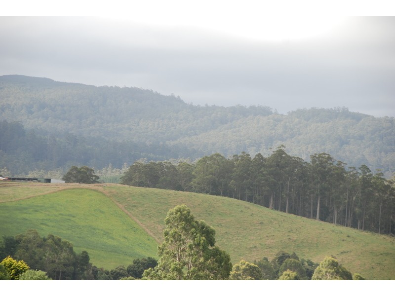 309 Lottah Road Goulds Country, Goulds Country TAS 7216