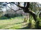 309 Lottah Road Goulds Country, Goulds Country TAS 7216