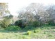 309 Lottah Road Goulds Country, Goulds Country TAS 7216