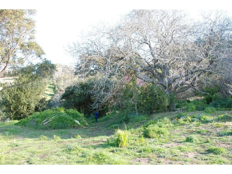309 Lottah Road Goulds Country, Goulds Country TAS 7216