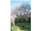 309 Lottah Road Goulds Country, Goulds Country TAS 7216